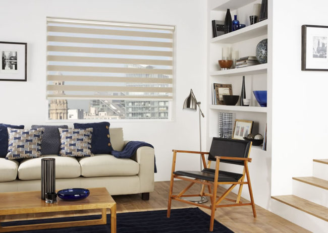 Vision Blinds