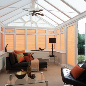 Pleated Inspirations Ginger Blinds