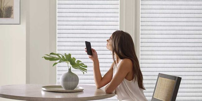 Smart Home Blinds