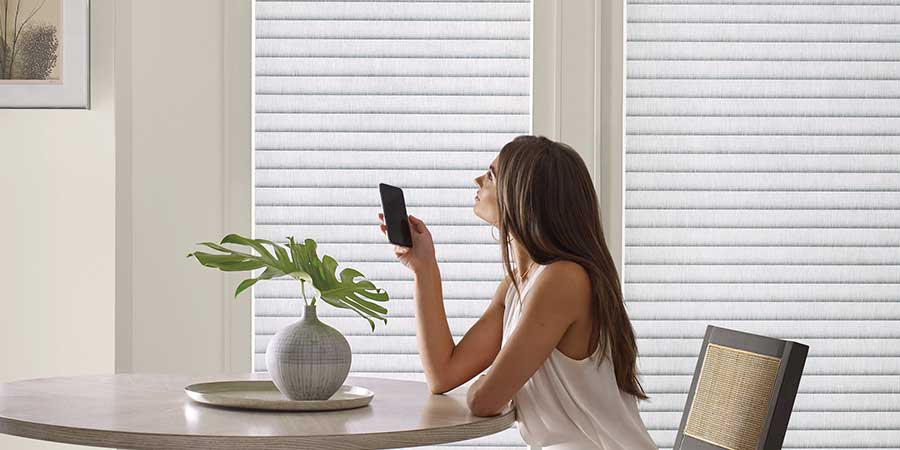 Smart Home Blinds Smart Home Blinds