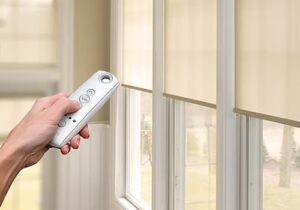 motorised blinds