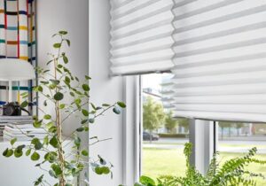 Pleated Blinds